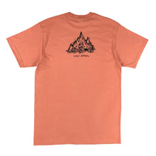 Load image into Gallery viewer, MONEY TEE (salmon)